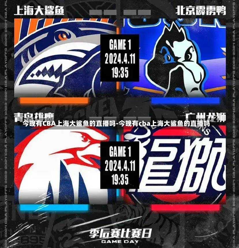 賽秩序和公